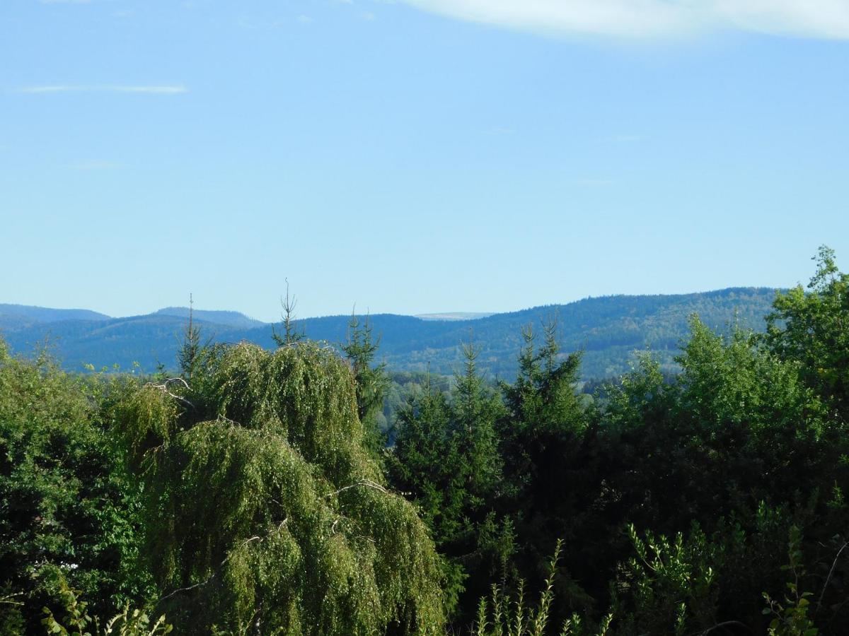 L'Amandaure Bed & Breakfast Saulcy-sur-Meurthe Exterior photo